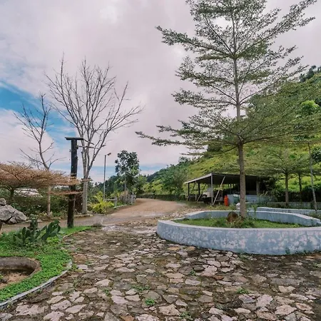 Serenity Busay Room 8
